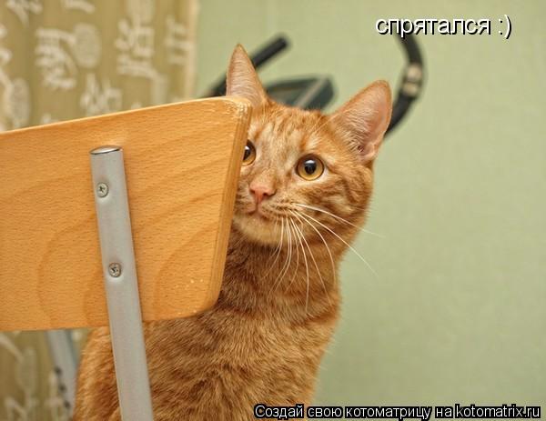 Котоматрица: спрятался :)