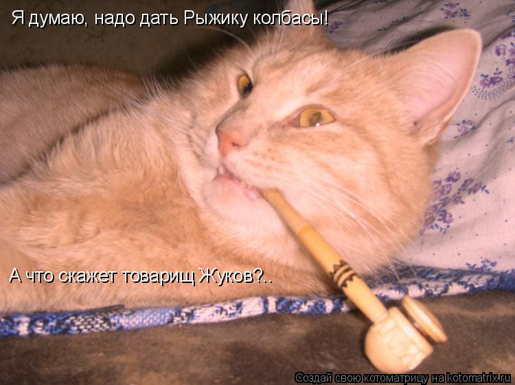Котоматрица: Я думаю, надо дать Рыжику колбасы! А что скажет товарищ Жуков?..