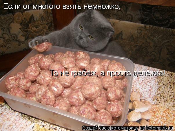 Котоматрица: Если от многого взять немножко, То не грабёж, а просто делёжка!..