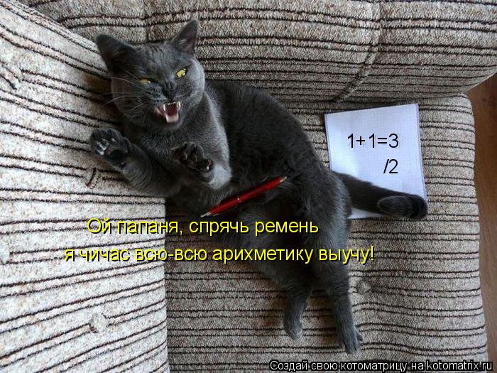 Котоматрица: /2 1+1=3 Ой папаня, спрячь ремень я чичас всю-всю арихметику выучу!