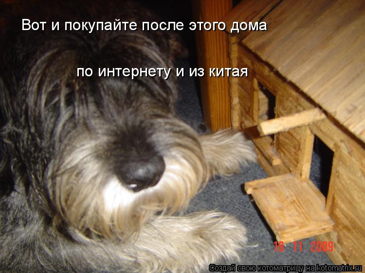 Котоматрица: Вот и покупайте после этого дома  по интернету и из китая по интернету и из китая