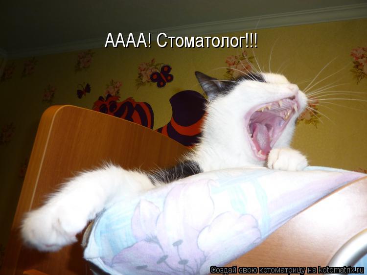 АААА! Стоматолог!!!... Котоматрица: АААА! Стоматолог!!!