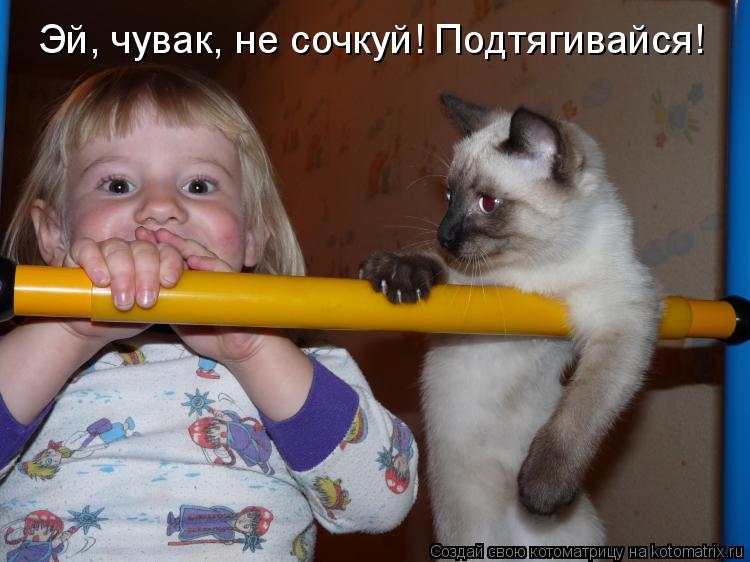 Котоматрица: Эй, чувак, не сочкуй! Подтягивайся!