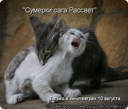 "Сумерки сага Рассвет" Только в кинотеатрах 10 августа... Котоматрица: "Сумерки сага Рассвет" Только в кинотеатрах 10 августа