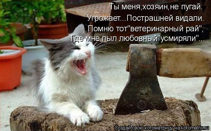 Котоматрица: Ты меня,хозяин,не пугай. Угрожает...Пострашней видали. Помню тот"ветеринарный рай", Где мне пыл любовный"усмиряли"...
