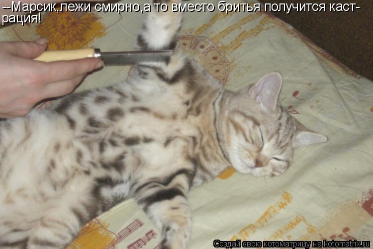 Котоматрица: --Марсик,лежи смирно,а то вместо бритья получится каст- рация!