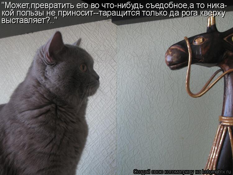 "Может,превратить его во что-нибудь съедобное,а то ника- кой пользы не приносит--таращится только да ... Котоматрица: "Может,превратить его во что-нибудь съедобное,а то ника- кой пользы не приносит--таращится только да рога кверху выставляет?.."