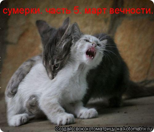 Котоматрица: сумерки. часть 5. март вечности.