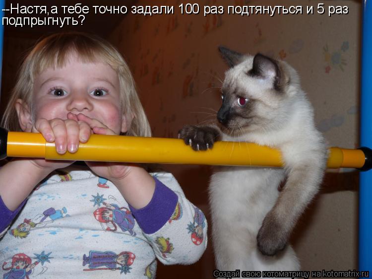 --Настя,а тебе точно задали 100 раз подтянуться и 5 раз подпрыгнуть?... Котоматрица: --Настя,а тебе точно задали 100 раз подтянуться и 5 раз подпрыгнуть?