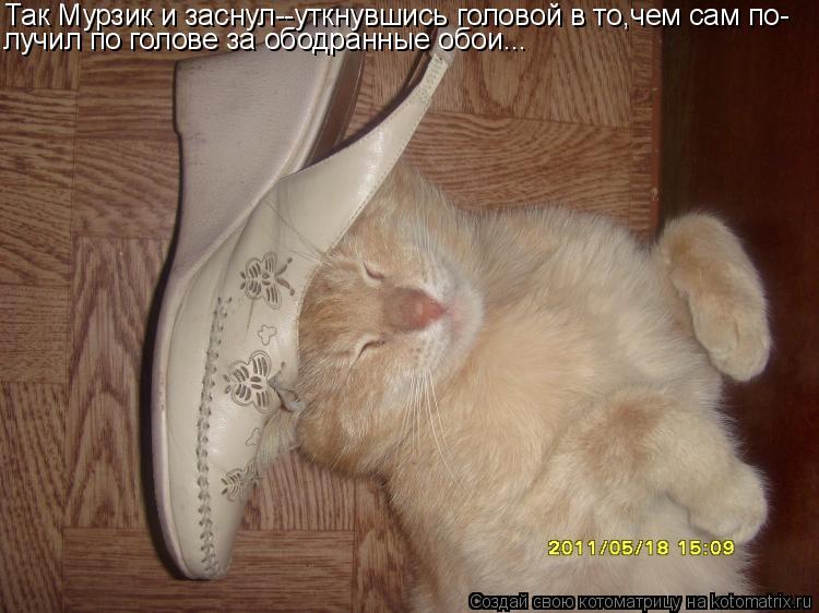 Так Мурзик и заснул--уткнувшись головой в то,чем сам по- лучил по голове за ободранные обои...... Котоматрица: Так Мурзик и заснул--уткнувшись головой в то,чем сам по- лучил по голове за ободранные обои...