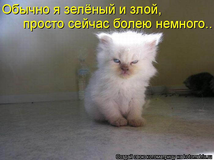 Обычно я зелёный и злой, просто сейчас болею немного..... Котоматрица: Обычно я зелёный и злой, просто сейчас болею немного..