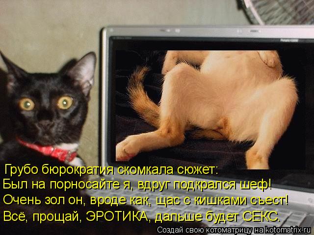 Котоматрица: Всё, прощай, ЭРОТИКА, дальше будет СЕКС…  Был на порносайте я, вдруг подкрался шеф! Очень зол он, вроде как, щас с кишками съест!  Грубо бюрокр