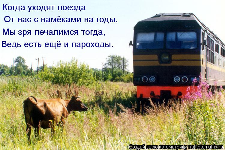 Котоматрица: Когда уходят поезда   От нас с намёками на годы,  Мы зря печалимся тогда,  Ведь есть ещё и пароходы.