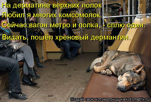 Котоматрица: На дерматине верхних полок  Любил я многих комсомолок. Сейчас:вагон метро и полка, - сплю один. Видать, пошёл хреновый дермантин.