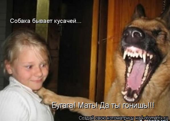Котоматрица: Бугага! Мать! Да ты гонишь!!! Собака бывает кусачей...