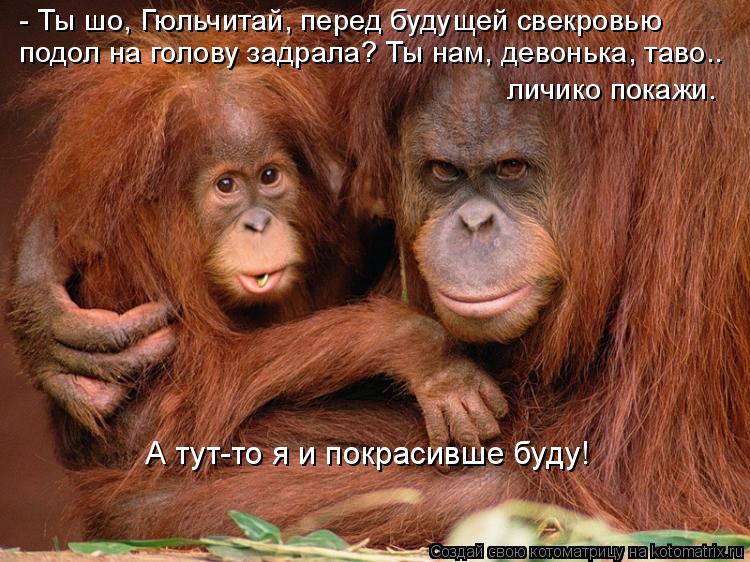 - Ты шо, Гюльчитай, перед будущей свекровью подол на голову задрала? Ты нам, девонька, таво.. личико ... Котоматрица: - Ты шо, Гюльчитай, перед будущей свекровью подол на голову задрала? Ты нам, девонька, таво.. личико покажи. А тут-то я и покрасивше буду!