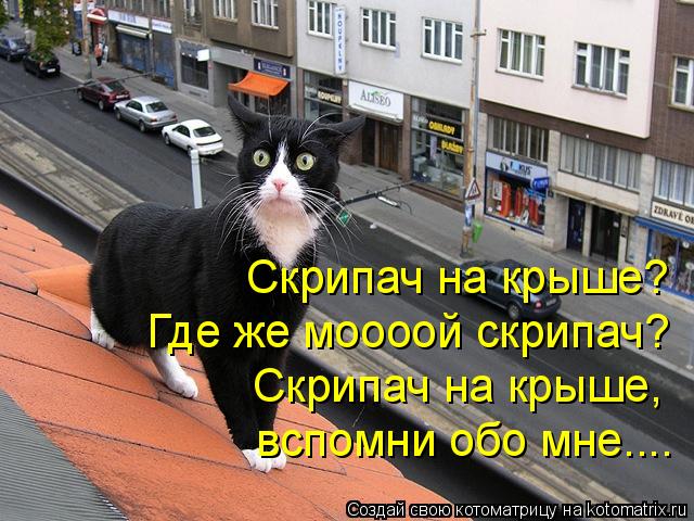 Скрипач на крыше? Где же моооой скрипач? Скрипач на крыше, вспомни обо мне....... Котоматрица: Скрипач на крыше? Где же моооой скрипач? Скрипач на крыше, вспомни обо мне....