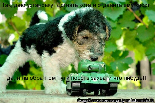 Так, даю установку: Догнать кота и отдавить ему хвост.. да, и на обратном пути поесть захвати что ниб... Котоматрица: Так, даю установку: Догнать кота и отдавить ему хвост.. да, и на обратном пути поесть захвати что нибудь!!