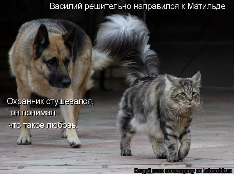 Василий решительно направился к Матильде Охранник стушевался, он понимал, что такое любовь.... Котоматрица: Василий решительно направился к Матильде Охранник стушевался, он понимал, что такое любовь.