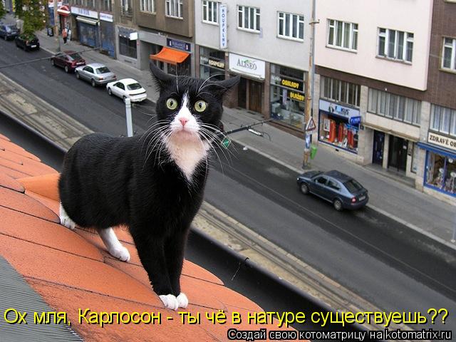 Ох мля, Карлосон - ты чё в натуре существуешь??... Котоматрица: Ох мля, Карлосон - ты чё в натуре существуешь??