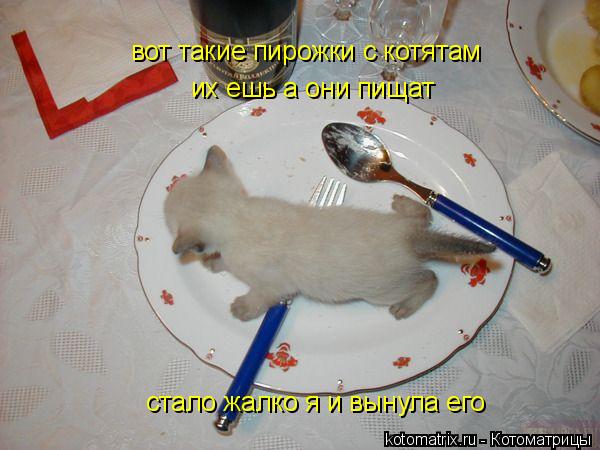 вот такие пирожки с котятам их ешь а они пищат стало жалко я и вынула его... Котоматрица: вот такие пирожки с котятам их ешь а они пищат стало жалко я и вынула его