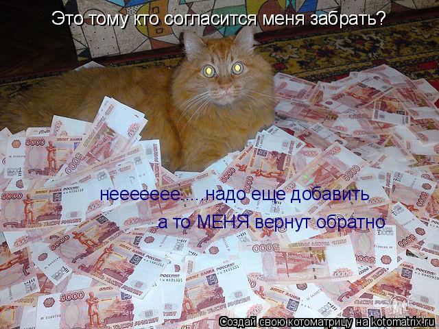 Котоматрица: Это тому кто согласится меня забрать? Это тому кто согласится меня забрать? неееееее.....надо еще добавить а то МЕНЯ вернут обратно