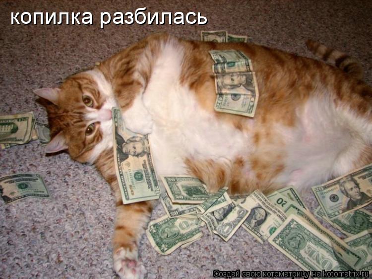 копилка разбилась... Котоматрица: копилка разбилась