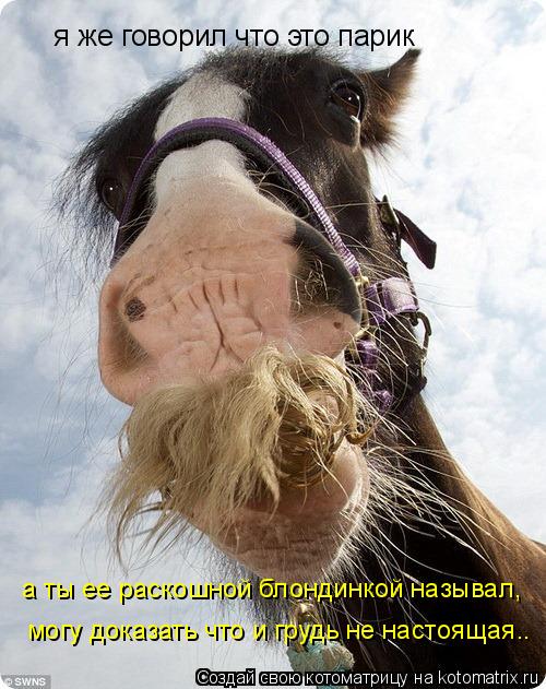 я же говорил что это парик а ты ее раскошной блондинкой называл, могу доказать что и грудь не настоящ... Котоматрица: я же говорил что это парик а ты ее раскошной блондинкой называл, могу доказать что и грудь не настоящая..