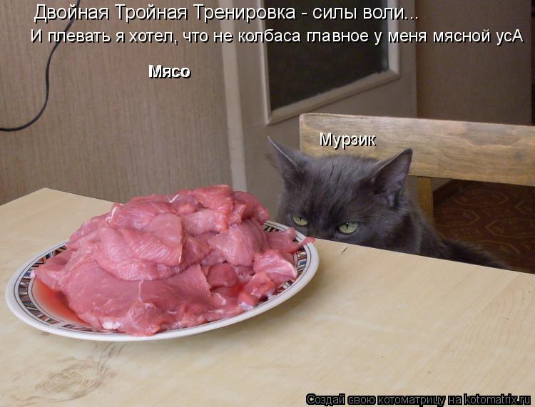 Двойная Тройная Тренировка - силы воли... И плевать я хотел, что не колбаса главное у меня мясной ус... Котоматрица: Двойная Тройная Тренировка - силы воли... И плевать я хотел, что не колбаса главное у меня мясной усА Мясо Мясо Мурзик