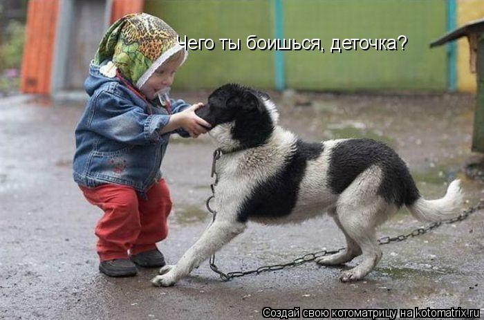 Чего ты боишься, деточка?... Котоматрица: Чего ты боишься, деточка?