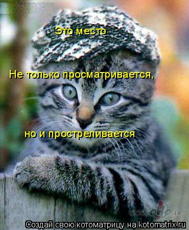 Не только просматривается, но и простреливается Это место... Котоматрица: Не только просматривается, но и простреливается Это место