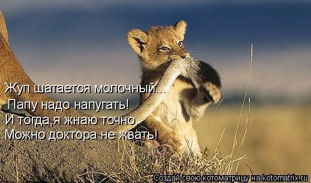 Жуп шатается молочный... Папу надо напугать! И тогда,я жнаю точно, Можно доктора не жвать!... Котоматрица: Жуп шатается молочный... Папу надо напугать! И тогда,я жнаю точно, Можно доктора не жвать!