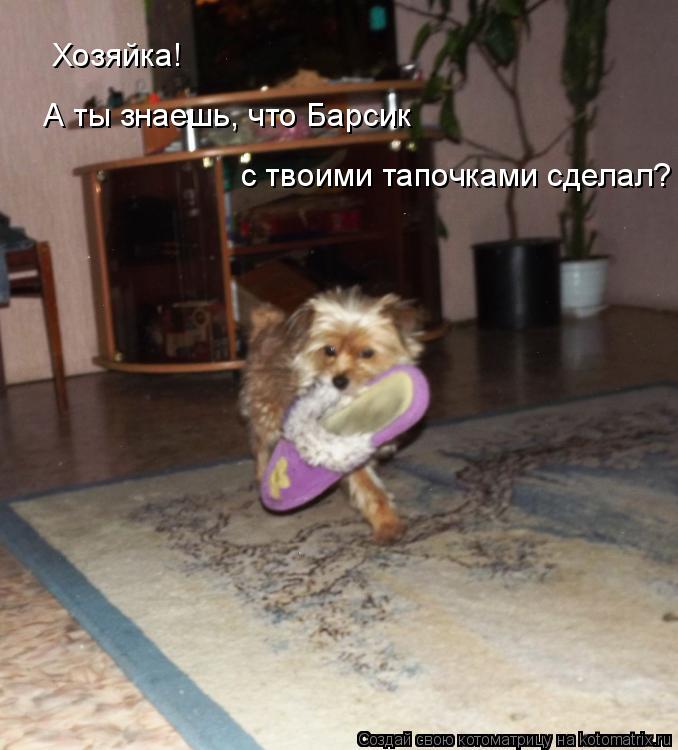 Хозяйка! А ты знаешь, что Барсик с твоими тапочками сделал?... Котоматрица: Хозяйка! А ты знаешь, что Барсик с твоими тапочками сделал?