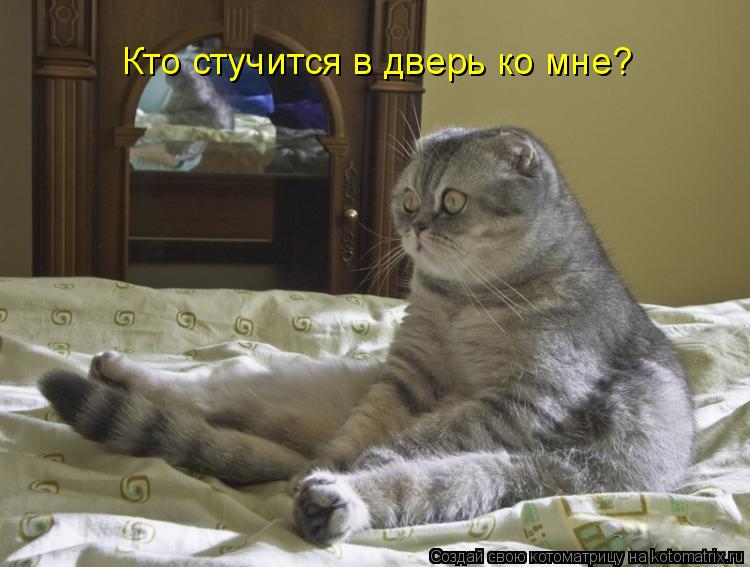 Кто стучится в дверь ко мне?... Котоматрица: Кто стучится в дверь ко мне?