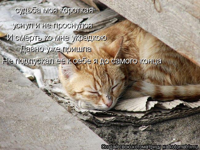 судьба моя короткая уснул и не проснулся И смерть ко мне украдкою Давно уже пришла Не подпускал её к... Котоматрица: судьба моя короткая уснул и не проснулся И смерть ко мне украдкою Давно уже пришла Не подпускал её к себе я до самого конца