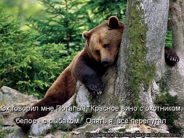 Эх,говорил мне Потапыч:"Красное вино с охотником, белое - с рыбаком." Опять я всё перепутал... Котоматрица: Эх,говорил мне Потапыч:"Красное вино с охотником, белое - с рыбаком." Опять я всё перепутал