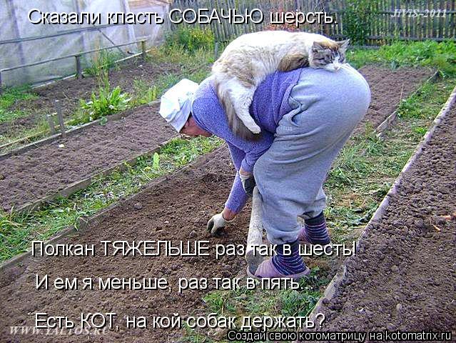 Сказали класть СОБАЧЬЮ шерсть. Полкан ТЯЖЕЛЬШЕ раз так в шесть! И ем я меньше, раз так в пять... Есть... Котоматрица: Сказали класть СОБАЧЬЮ шерсть. Полкан ТЯЖЕЛЬШЕ раз так в шесть! И ем я меньше, раз так в пять... Есть КОТ, на кой собак держать?