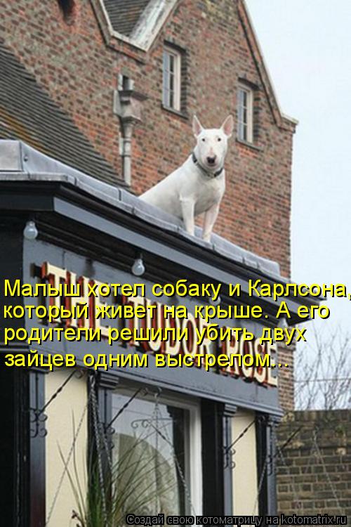 Малыш хотел собаку и Карлсона, который живет на крыше. А его родители решили убить двух зайцев одним ... Котоматрица: Малыш хотел собаку и Карлсона, который живет на крыше. А его родители решили убить двух зайцев одним выстрелом...
