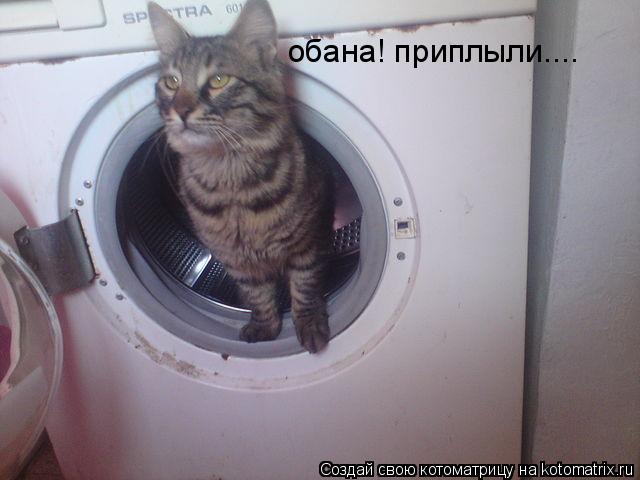обана! приплыли....... Котоматрица: обана! приплыли....