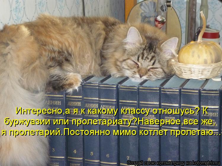 Интересно,а я к какому классу отношусь? К буржуазии или пролетариату?Наверное,все же, я пролетарий.По... Котоматрица: Интересно,а я к какому классу отношусь? К буржуазии или пролетариату?Наверное,все же, я пролетарий.Постоянно мимо котлет пролетаю...