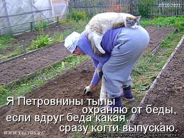 Я Петровнины тылы охраняю от беды, если вдруг беда какая, сразу когти выпускаю.... Котоматрица: Я Петровнины тылы охраняю от беды, если вдруг беда какая, сразу когти выпускаю.