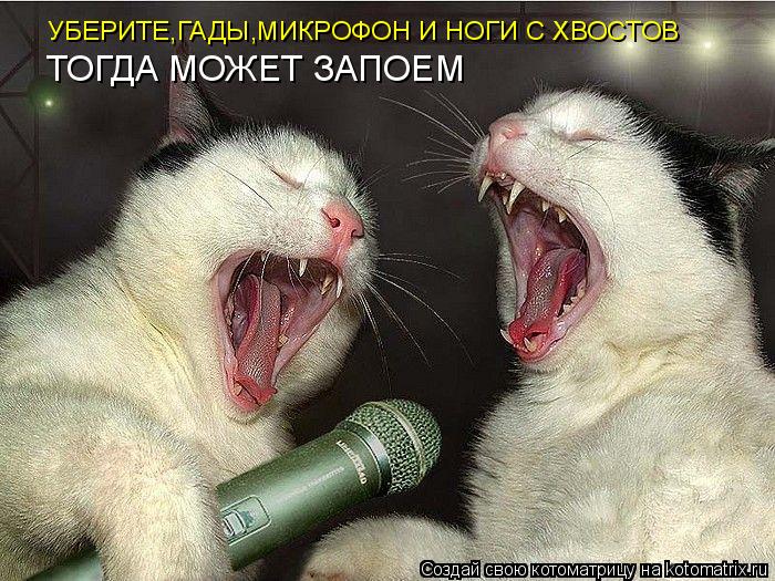 УБЕРИТЕ,ГАДЫ,МИКРОФОН И НОГИ С ХВОСТОВ ТОГДА МОЖЕТ ЗАПОЕМ... Котоматрица: УБЕРИТЕ,ГАДЫ,МИКРОФОН И НОГИ С ХВОСТОВ ТОГДА МОЖЕТ ЗАПОЕМ