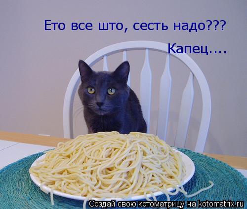 Котоматрица: Ето все што, сесть надо??? Капец....