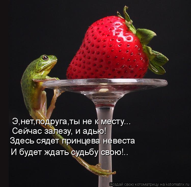Котоматрица: Э,нет,подруга,ты не к месту... Сейчас залезу, и адью! Здесь сядет принцева невеста И будет ждать судьбу свою!..