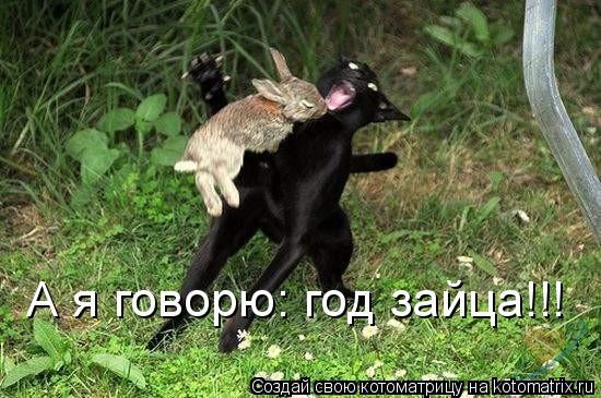 А я говорю: год зайца!!!... Котоматрица: А я говорю: год зайца!!!