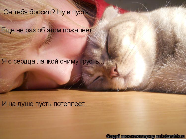 Котоматрица: Он тебя бросил? Ну и пусть... Еще не раз об этом пожалеет. Я с сердца лапкой сниму грусть... И на душе пусть потеплеет...