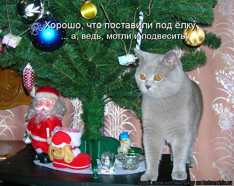 Хорошо, что поставили под ёлку ... а, ведь, могли и подвесить... Котоматрица: Хорошо, что поставили под ёлку ... а, ведь, могли и подвесить