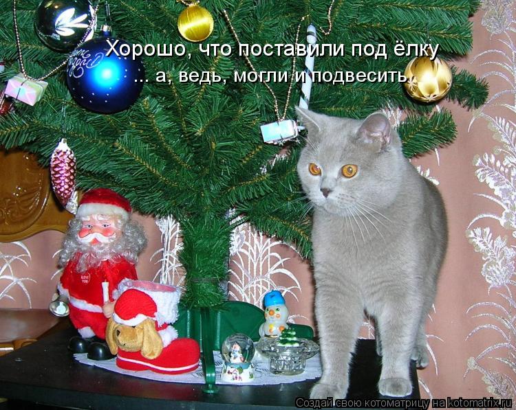 Хорошо, что поставили под ёлку ... а, ведь, могли и подвесить... Котоматрица: Хорошо, что поставили под ёлку ... а, ведь, могли и подвесить