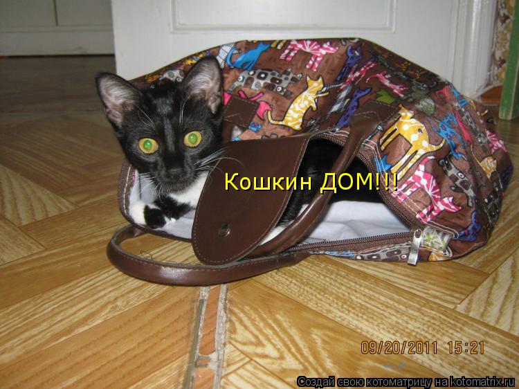 Котоматрица: Кошкин ДОМ!!!