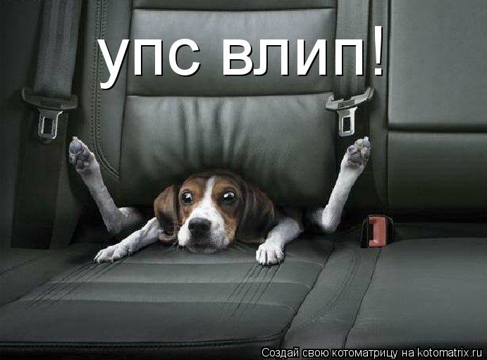 упс влип!... Котоматрица: упс влип!